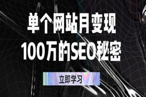 单个网站月变现100万的SEO（全套视频教程）