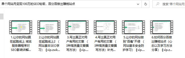 单个网站月变现100万的SEO（全套视频教程）