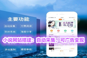 新出小说网站搭建：带自动采集，可广告变现（源码+视频教程）
