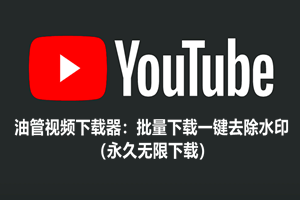 新出油管视频下载器：批量下载一键去除水印（长期无限下载）