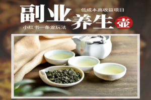 揭秘小红书最火爆的养生壶副业：一条龙玩法教你低成本高收益