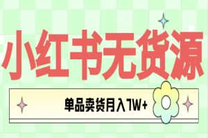 小红书无货源，单品卖货月入7W+！新风口项目正式揭秘！