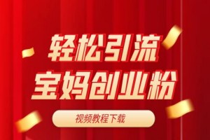 亲测有效轻松引流宝妈创业粉（视频课程）