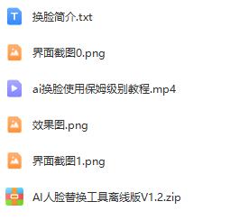 AI换脸工具软件