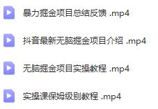 抖音最新无脑掘金项目