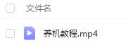 小游戏不恢复出厂设置养机-养百度广告
