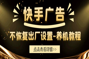 小游戏不恢复出厂设置养机-养快手广告（视频教程)