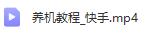 小游戏不恢复出厂设置养机