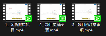 热门闲鱼搬砖项目