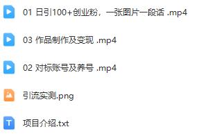 日引200+创业粉神秘方法曝光