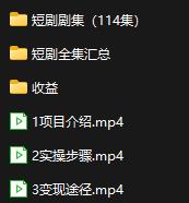 年热门短剧项目