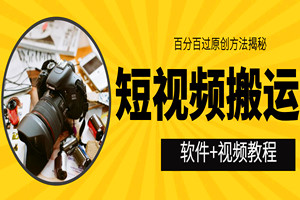 外面收费599的视频搬运：百分百过原创（软件+视频教程）