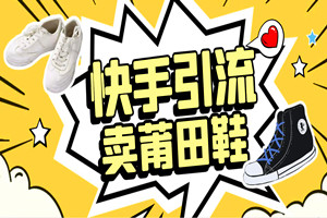 快手引流销售莆田鞋：AI技术实现日收入400+（全套视频教程）