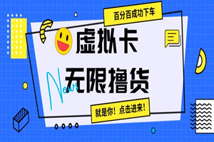 虚拟卡无限撸货100%成功：社群内部实操教程（全套资料）