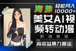揭秘日入300+项目:海外美女AI视频秒变动漫,收益惊人(软件+视频教程)