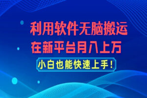 新平台无脑搬运:月入上万,小白轻松上手(全套资源)