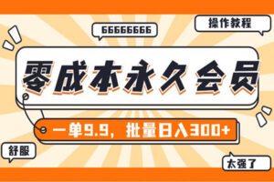 外面收费288的独家0成本永久音乐会员：多渠道变现玩法【实操教程】