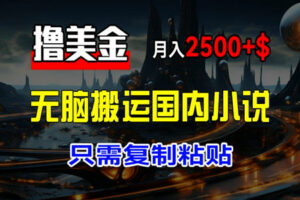最新撸美金项目：搬运国内小说爽文，只需复制粘贴，稿费月入2500+美金（长期项目）